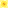 Bell Top