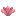 Cactus Çiçek