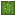 Cactus Top