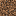 Coarse Toprak