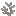 Dead Boynuzu Coral