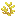 Boynuzu Coral