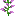 Lilac Bottom