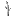 Kavun Stem