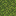 Moss Blok