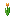 Turuncu Tulip