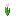 Pembe Tulip