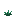 Torchflower Crop Stage0