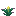 Torchflower Crop Stage1