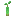 Mangrov Propagule