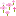 Pembe Petals