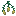 Torchflower Tohum